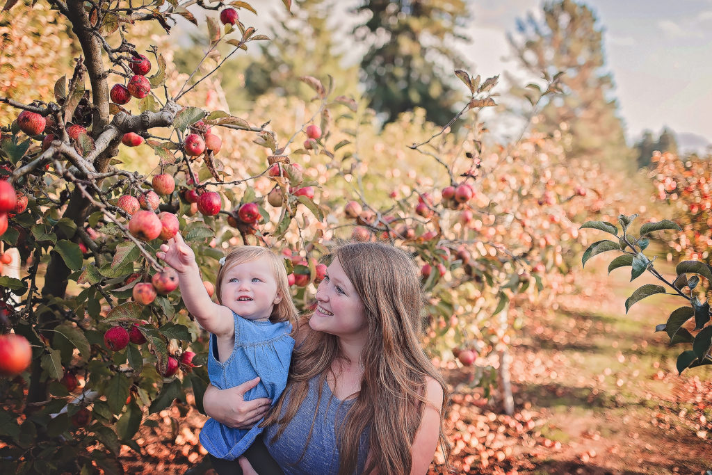 Apple picking in southern Oregon